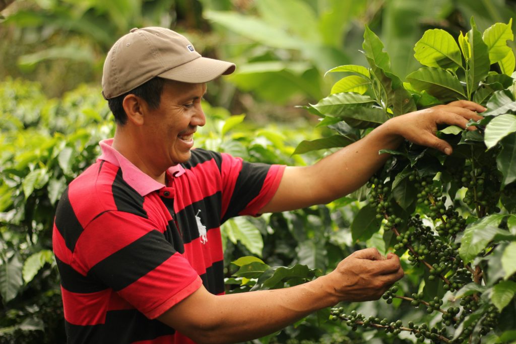 Many Hands, One Harvest Organic Honduran