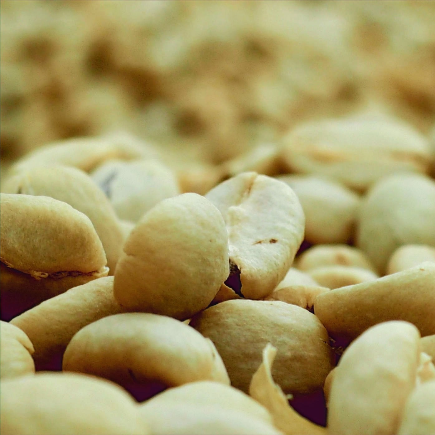 Organic Guatemalan