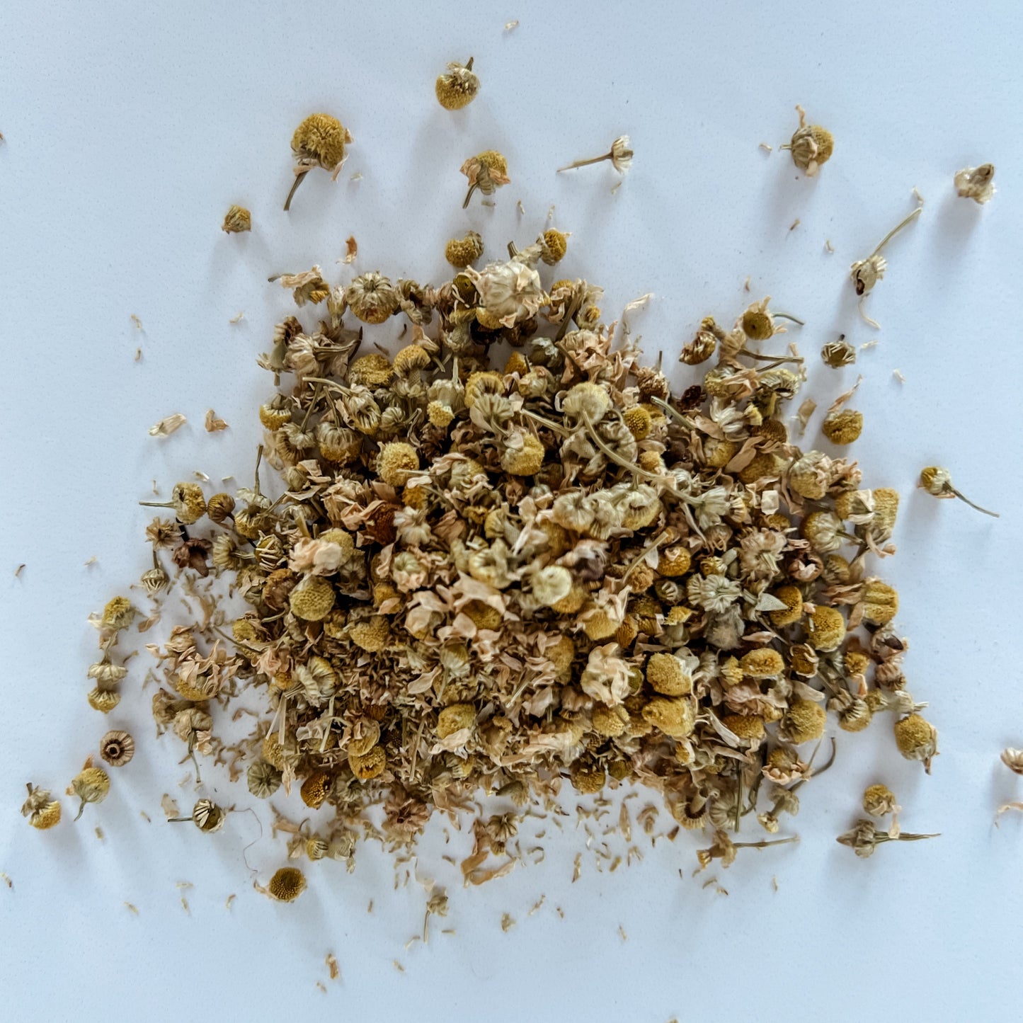 Chamomile