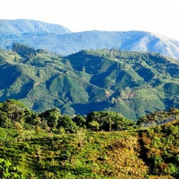 Organic Costa Rican