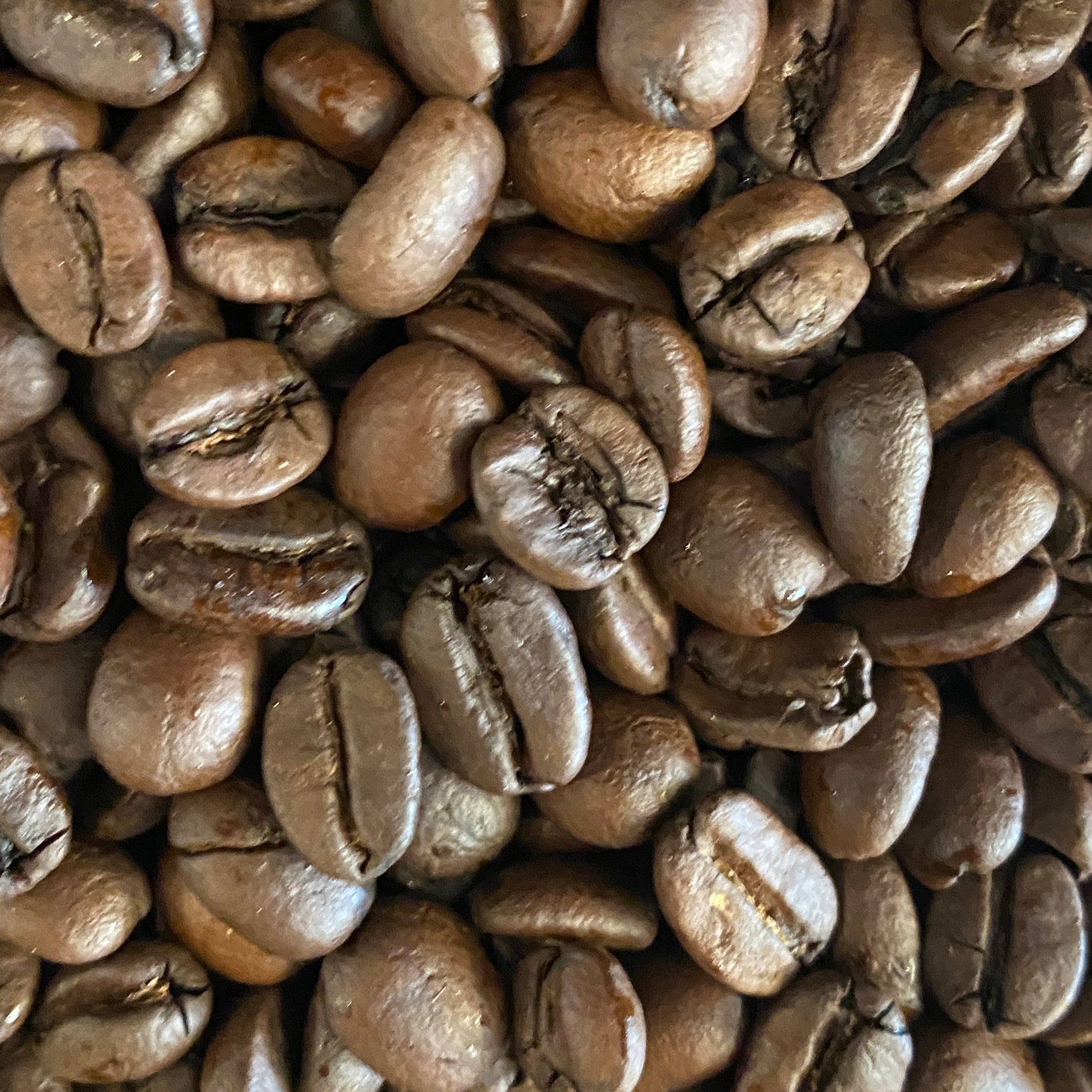 First Street Blend – Frenchtown Roasters & Agua Dulce