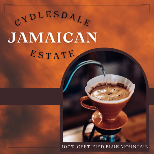 Jamaica Blue Mountain