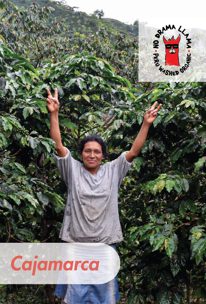 Peru - No Drama Llama - Organic