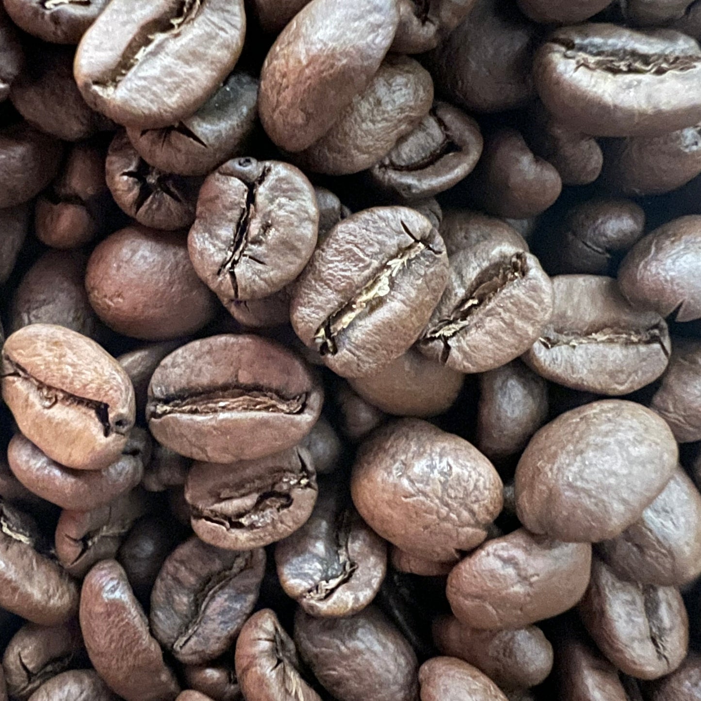 Many Hands, One Harvest Organic Honduran